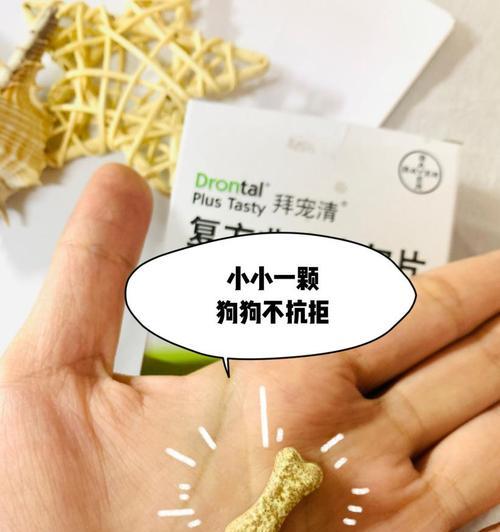 小狗用什么药驱虫比较好？安全有效的驱虫药物推荐？