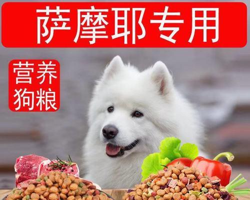 小萨摩喂食30粒狗粮后拉稀怎么办？