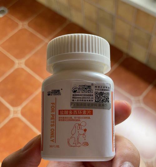 一岁大狗咳嗽呕吐怎么办？如何快速识别并处理？