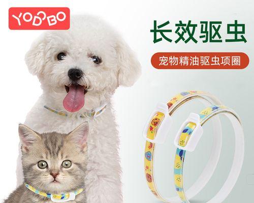 幼猫驱虫的最佳时间是什么时候？需要准备什么？
