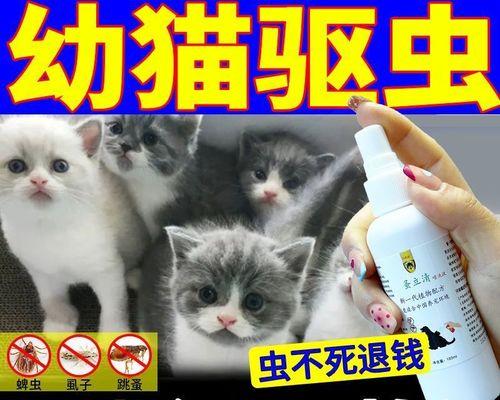 幼猫驱虫的最佳时间是什么时候？需要准备什么？