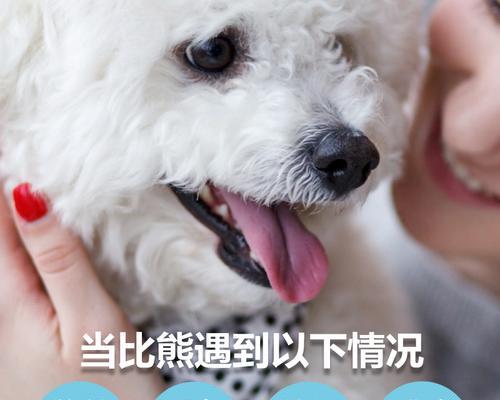 幼犬如何增强免疫力？推荐哪些增强免疫力的食物？