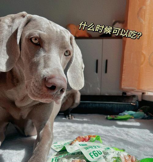 鱼子酱抗敏体重控制狗粮适合什么犬种？如何帮助狗狗控制体重？