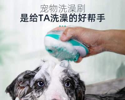 怎么给狗狗洗澡视频教程？洗澡步骤和注意事项是什么？