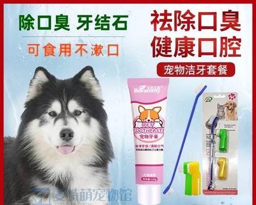 狗狗结石怎么检查？有哪些症状表现？