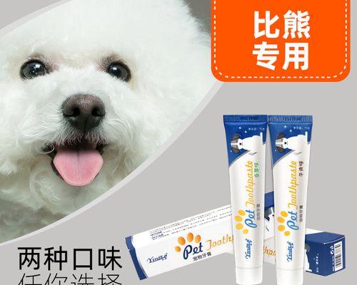 狗狗结石怎么检查？有哪些症状表现？