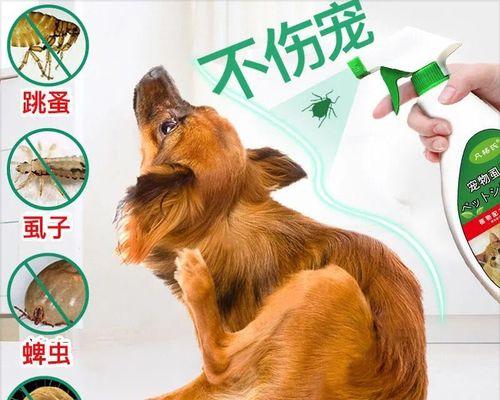 狗狗螨虫感染怎么治疗？哪种药物最有效？