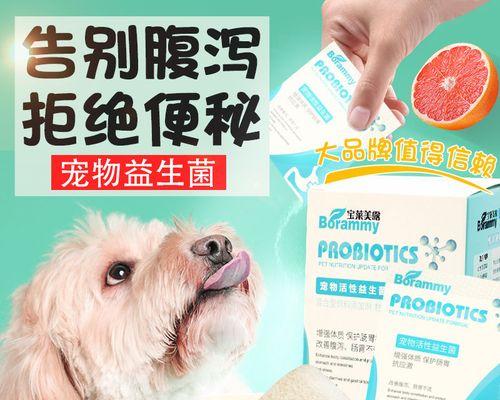 20天小猫拉稀如何处理？寻求快速解决方法？