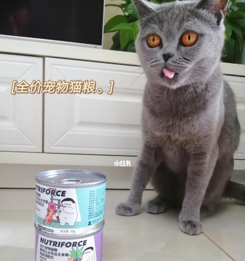 30天猫咪可以吃什么药？常见猫咪用药指南？