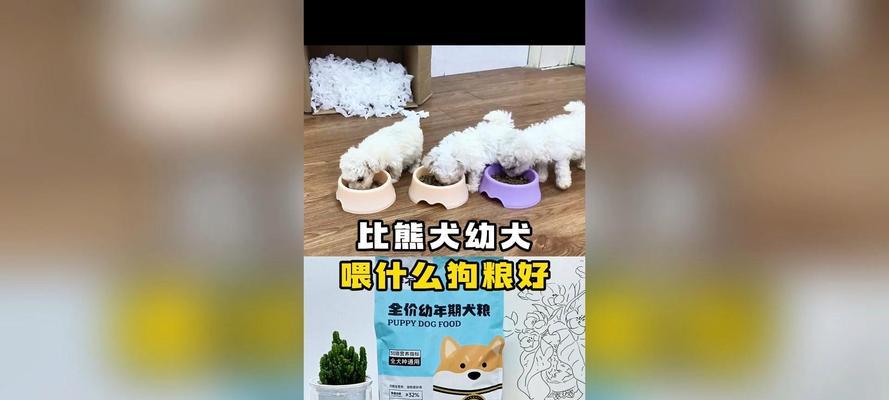 两个月大的小比熊应该喂多少狗粮？喂食量有标准吗？