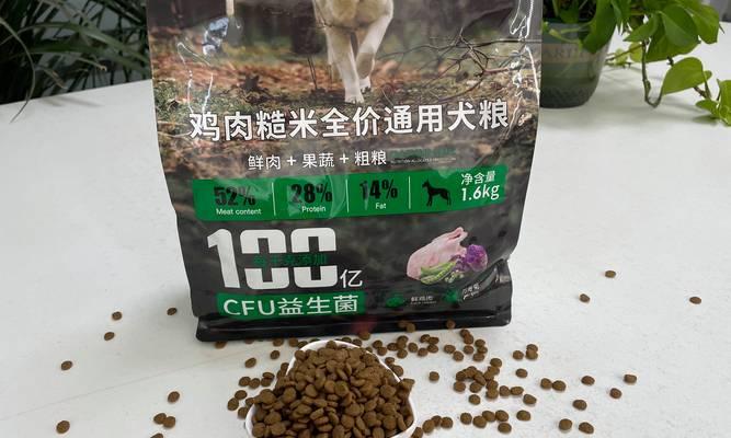 六斤柴犬每顿应该吃多少克狗粮？喂食指南是什么？