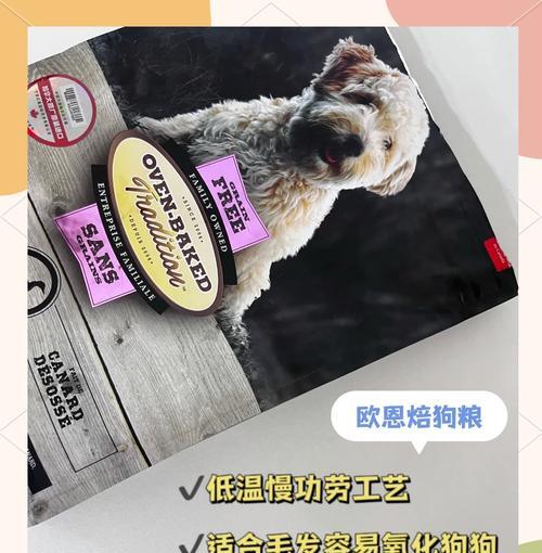 小型犬的狗粮摄入量应该是多少？如何根据体重调整喂食量？