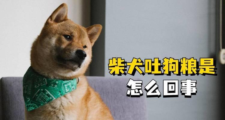 柴犬换狗粮后呕吐原因是什么？如何解决？