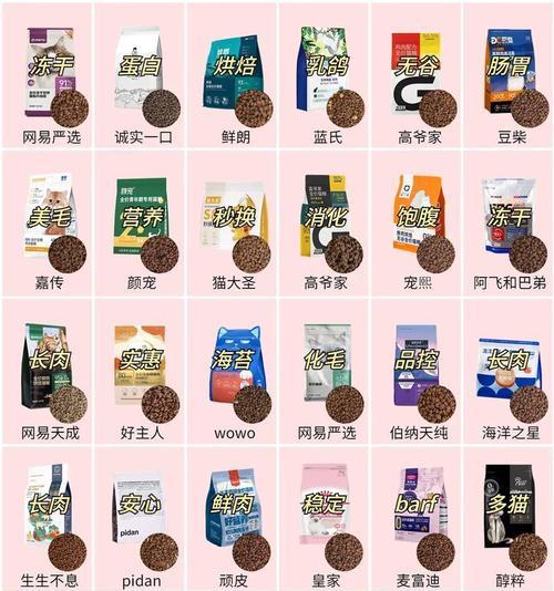 加菲猫猫粮品牌推荐？哪种猫粮对肠胃好？