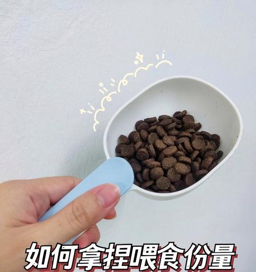 买错狗粮后中小型犬如何喂食？