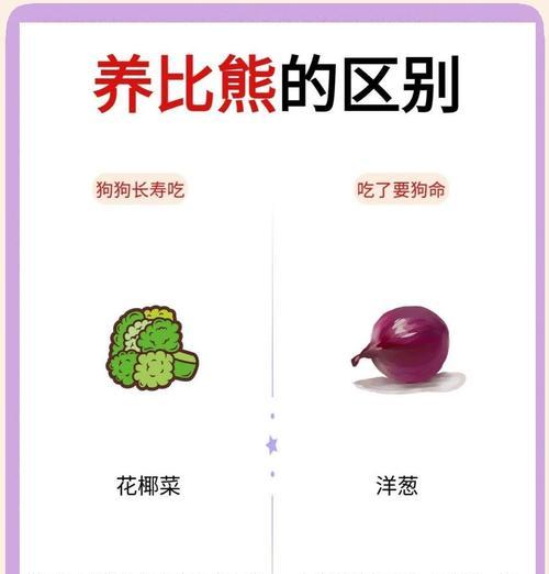 比熊犬新到家，散养还是笼养更合适？各自的利弊是什么？