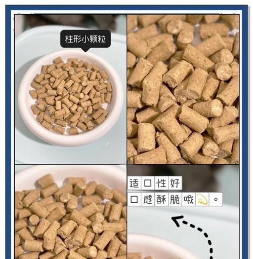 主食冻干猫粮和主食罐头哪个好？如何选择？