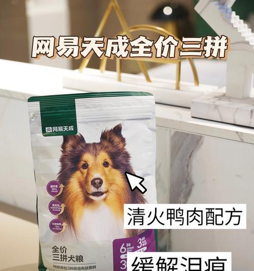 3个月小比熊怎么喂粮？喂粮方法有哪些？