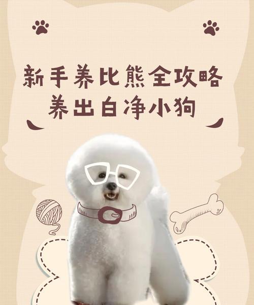 3个月小比熊怎么喂粮？喂粮方法有哪些？