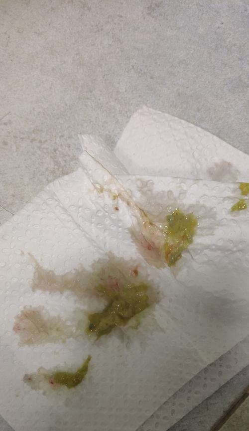 比熊幼犬吃鹌鹑蛋消化情况如何？