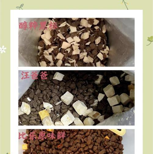 比熊2个月抱回家换狗粮？换粮的正确步骤和注意事项是什么？
