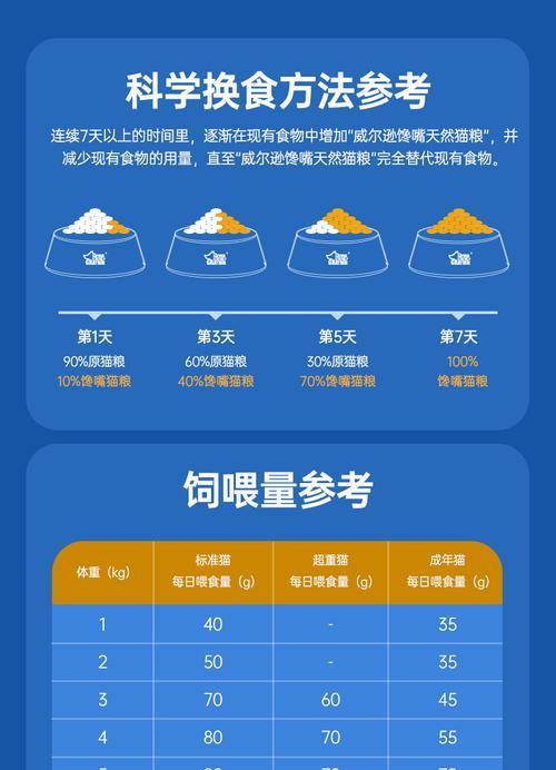 成年加菲猫每日猫粮摄入量应为多少克？如何根据活动量调整食量？