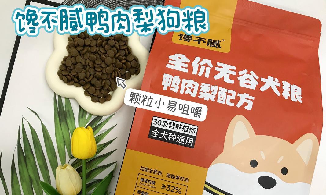 小比熊更适合吃鸡胸肉还是狗粮？