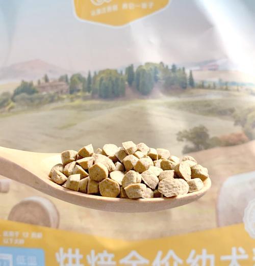 比熊犬何时更换狗粮合适？换粮的最佳月份是什么时候？