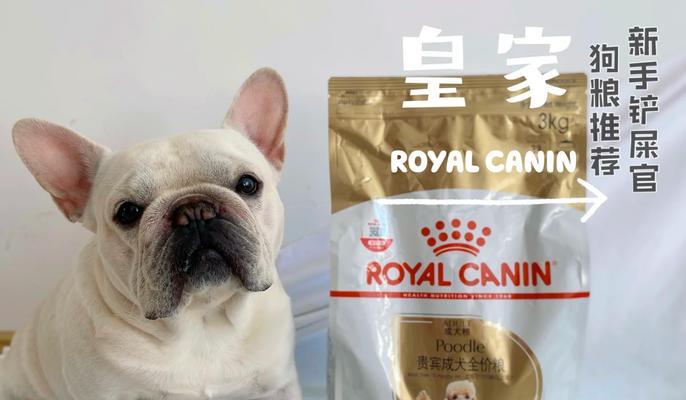 皇家8kg老年中型狗粮有什么推荐？如何选择适合老年中型犬的狗粮？