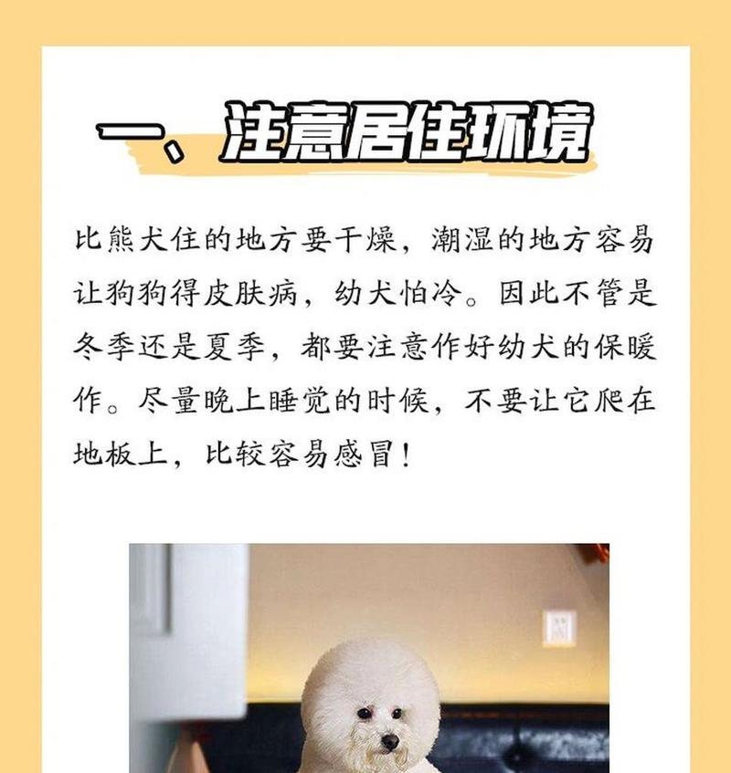 两个月龄比熊的正确饲养方法是什么？需要注意哪些事项？