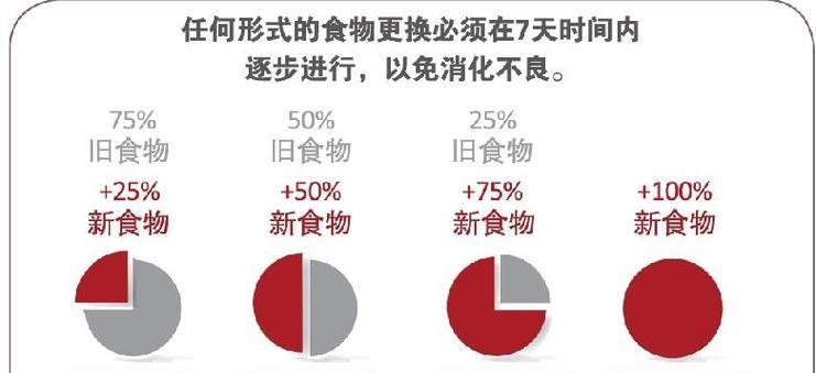 比熊产后拒食狗粮怎么办？有哪些解决方法？