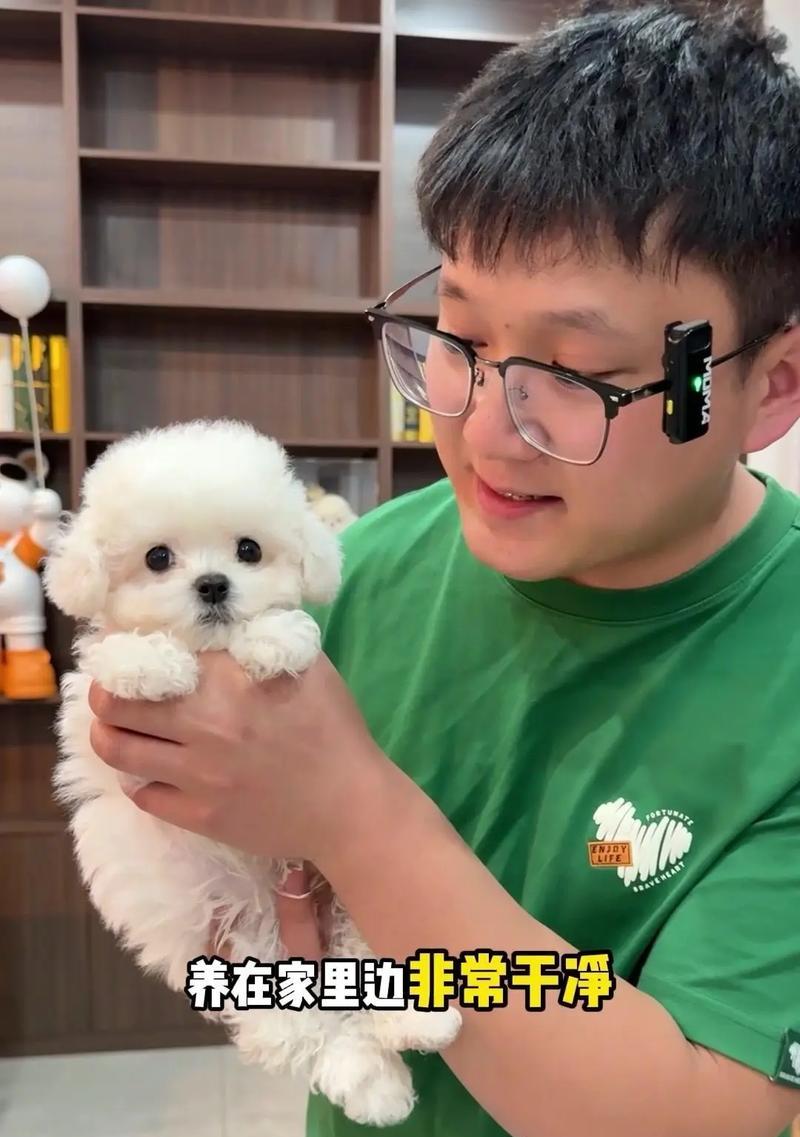 三个月小比熊适合哪种狗粮？如何选择？