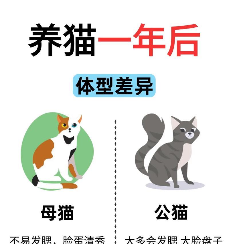 花猫是家畜吗？公猫和母猫有何区别？