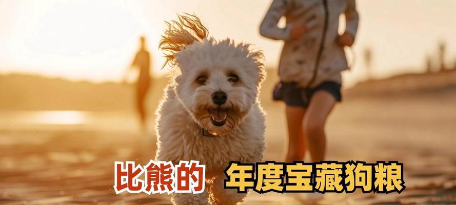 比熊长期吃狗粮好吗？正确的喂食方法是什么？