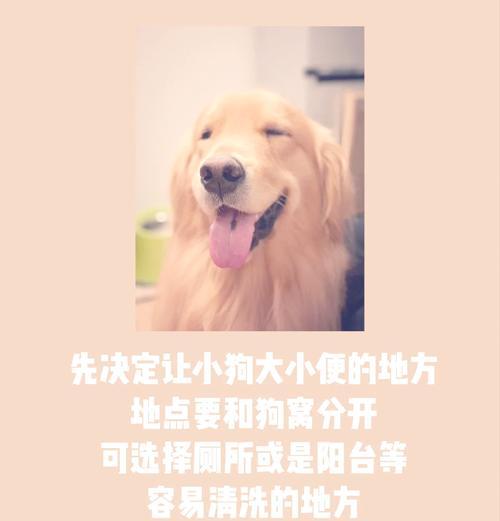 狗狗如何训练吃狗粮和喝水？