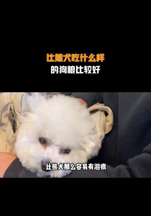 四个月比熊吃狗粮需要泡软吗？