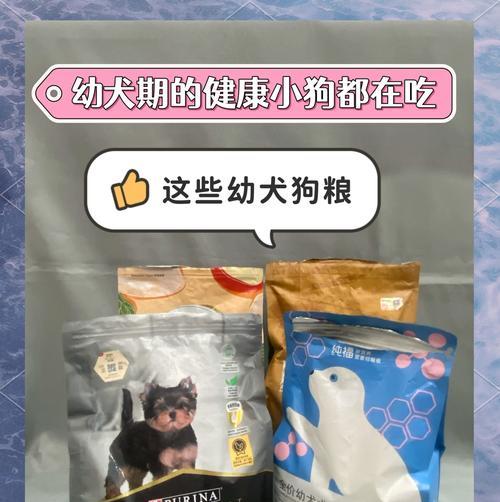 中型犬四个月吃多少狗粮合适呢？如何科学喂养？
