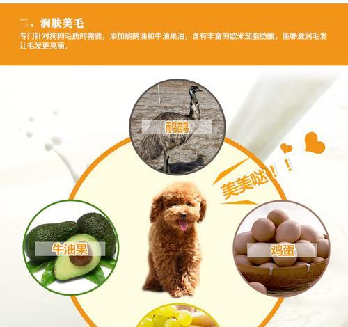 比熊一次喂食多少鸡蛋黄最为适宜？