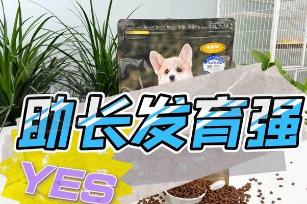两个月大的狗狗只喝母乳不吃狗粮怎么办？如何过渡到固体食物？