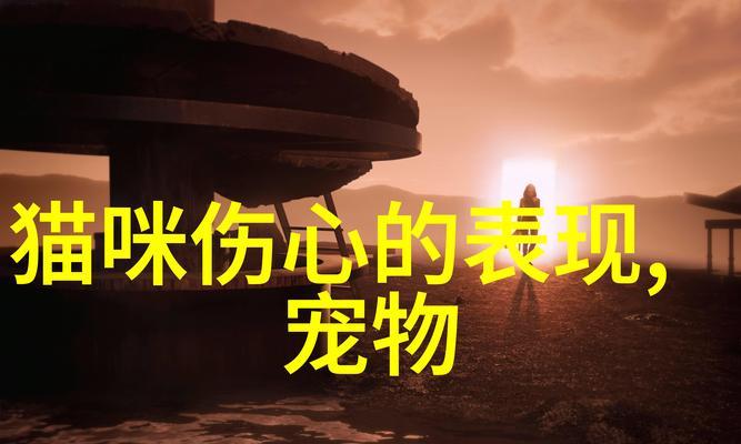 猫是家禽还是家畜？这对宠物喂养有何影响？