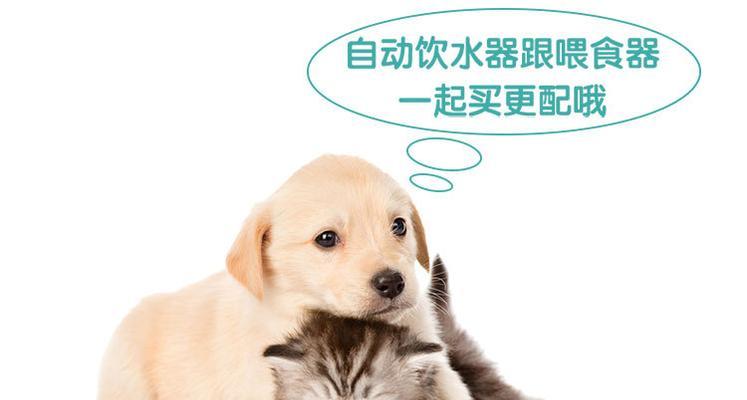狗自动喂粮器的使用方法是什么？如何正确设置？