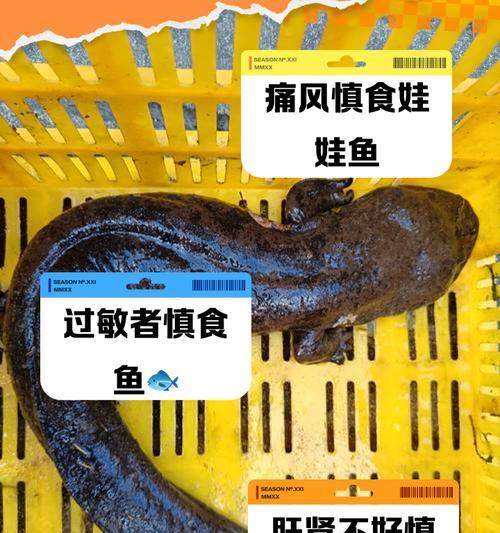 娃娃鱼苗的日常饮食应该包括哪些食物？