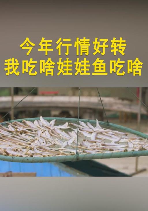 娃娃鱼苗的日常饮食应该包括哪些食物？