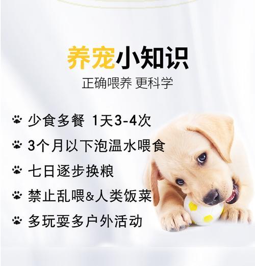柴犬回收的报价是多少？如何确保回收价格公正？