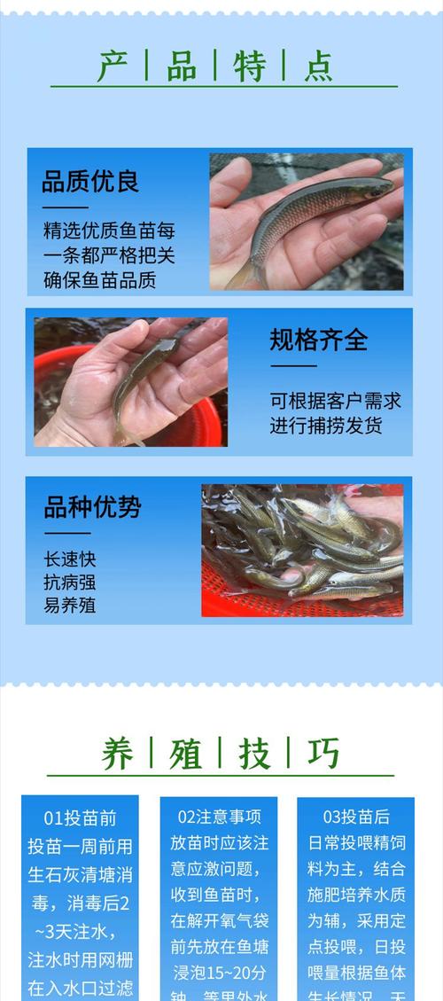 平江水库哪家店铺卖鱼苗？购买鱼苗时应该注意什么？