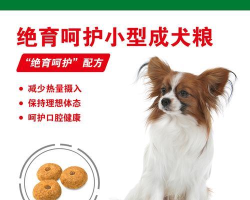 母泰迪进行绝育手术的费用是多少？手术前需要准备什么？