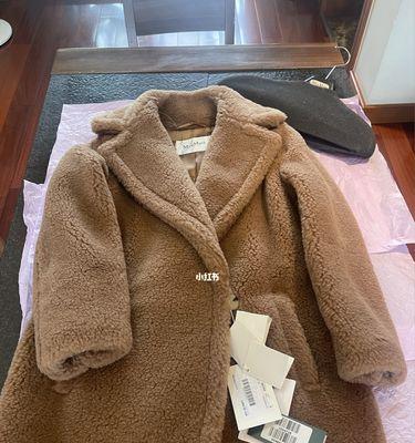 棕色泰迪的价格是多少？购买时应注意什么？