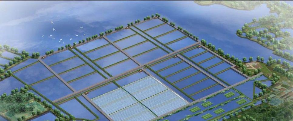 考察鱼苗基地的主要目的是什么？应关注哪些方面？