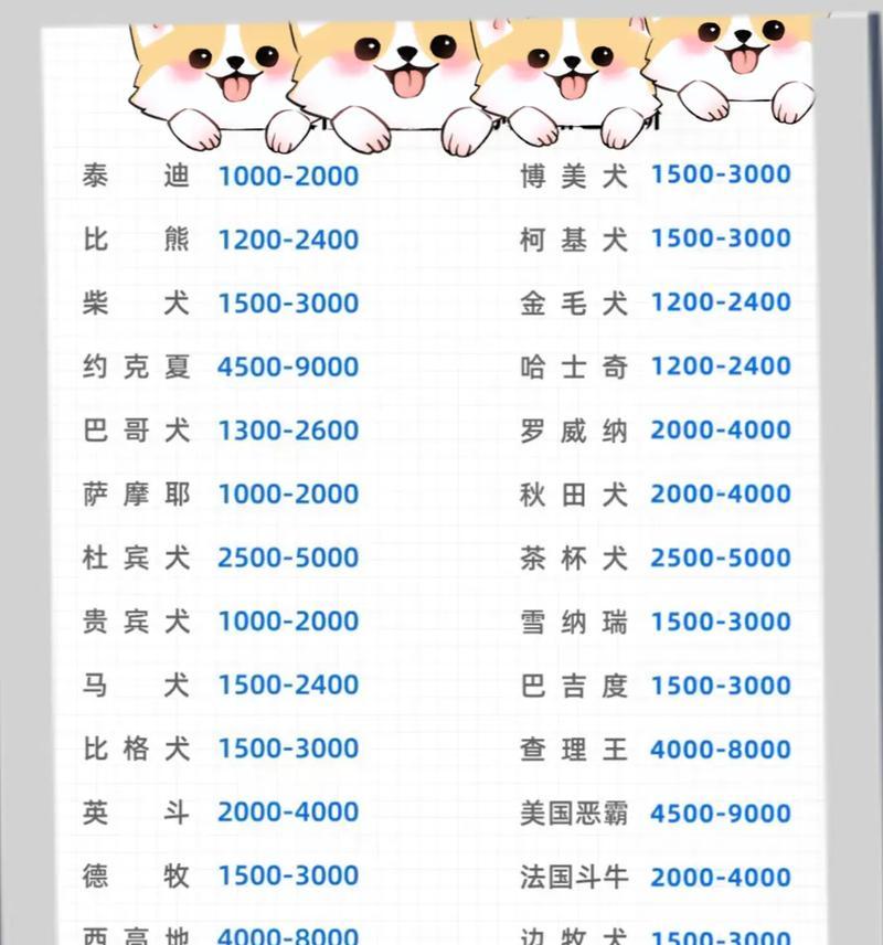 房山领养泰迪多少钱啊一只？领养泰迪需要哪些手续？