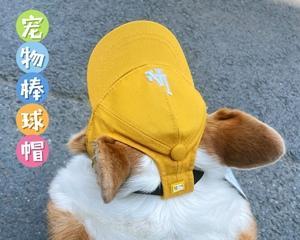 常熟地区代购柴犬需要多少钱？